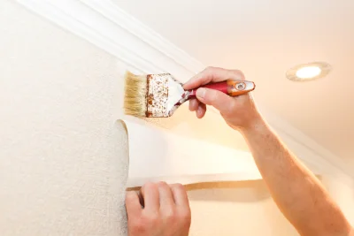 Pose de papier peint à Davézieux — revêtements muraux et toiles de verre